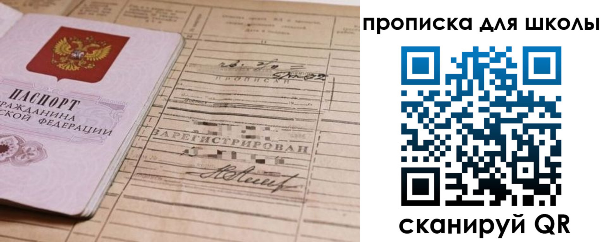 прописка поиск в Ростове